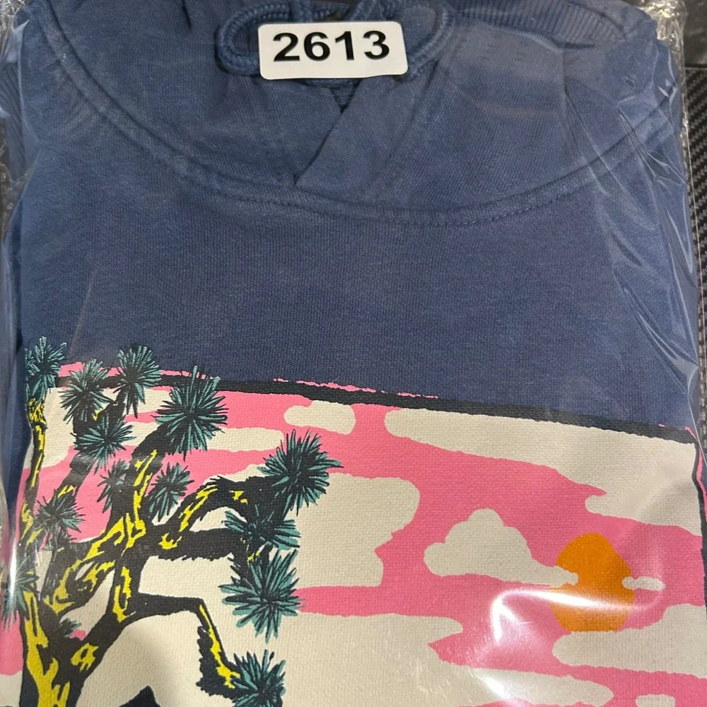 The North Face Hoodie Mens‎ L Blue Joshua Tree Graphic Desert Gorpcore A7UO5
